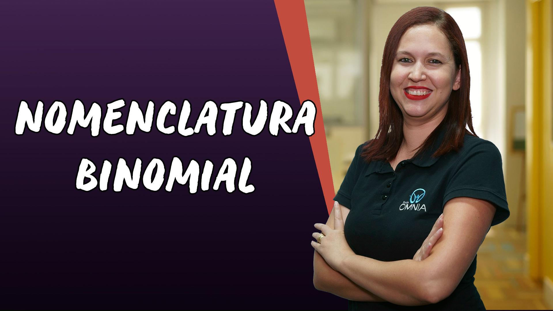 thumbnail do video