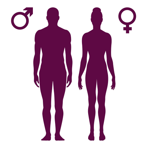 A área da superfície do corpo humano pode ser determinada por uma equação matemática