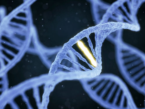 Alterações no DNA podem causar mudanças significativas em um organismo
