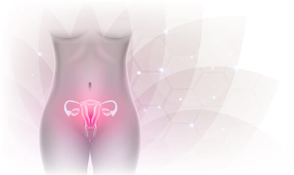O útero é o órgão do sistema reprodutor feminino em que o bebê desenvolve-se.